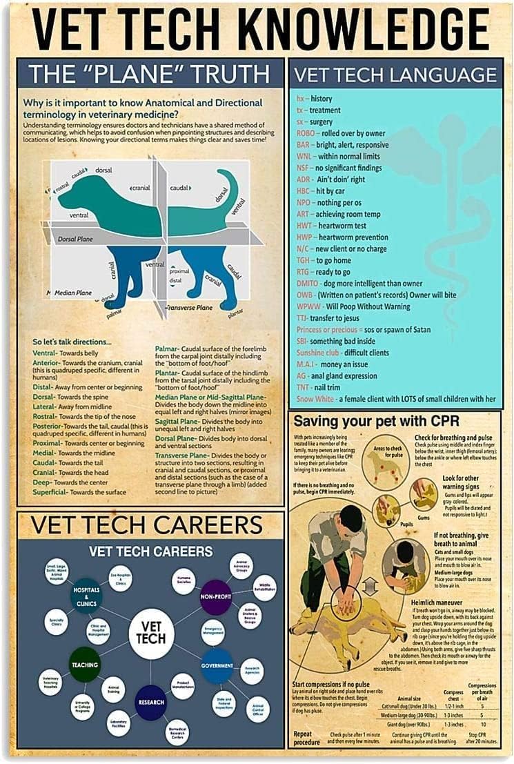 ESETASOT Vintage Tin Sign Vet  - Tech Office Wall Art ulasan dan harga